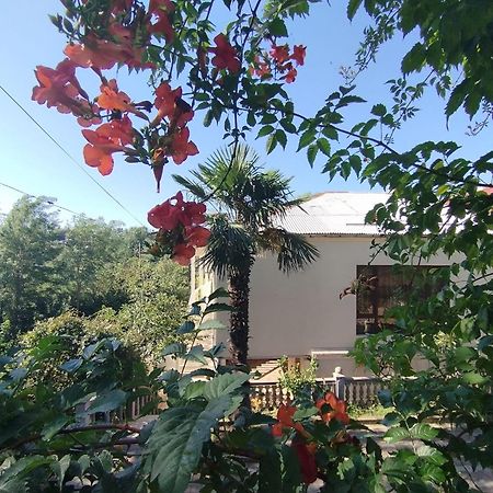 Hostel Kutaisi By Kote Экстерьер фото