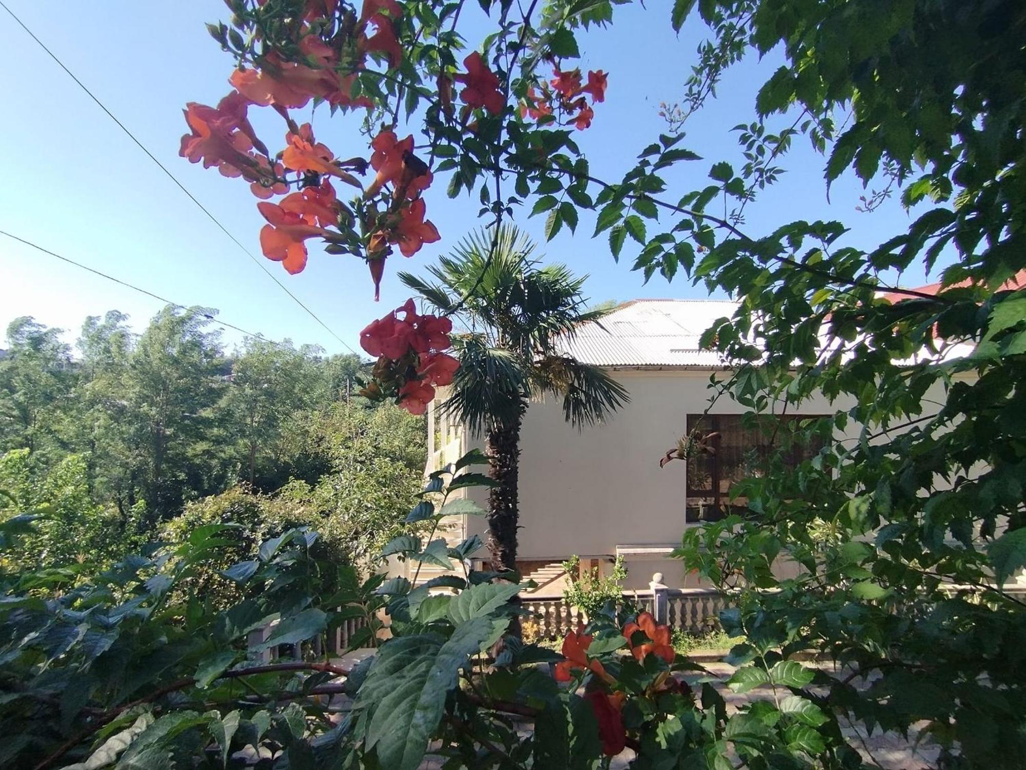 Hostel Kutaisi By Kote Экстерьер фото